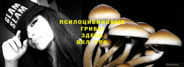 герыч Арсеньев