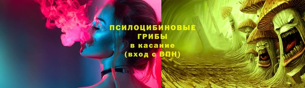 герыч Арсеньев
