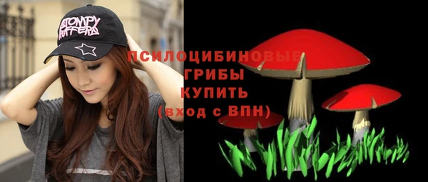 герыч Арсеньев