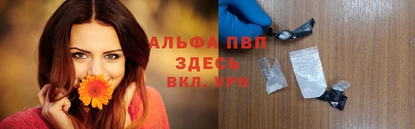 ГАЛЛЮЦИНОГЕННЫЕ ГРИБЫ Аркадак