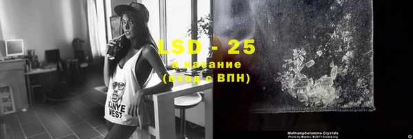 ГАЛЛЮЦИНОГЕННЫЕ ГРИБЫ Аркадак