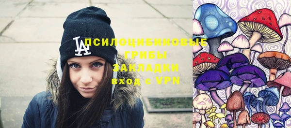 ГАЛЛЮЦИНОГЕННЫЕ ГРИБЫ Аркадак